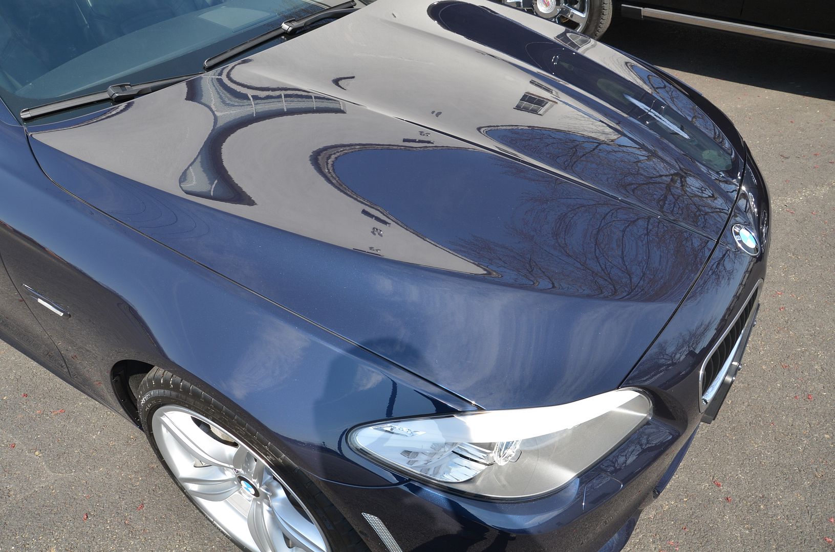 Paint Correction and Prep for Opti Coat application on BMW 550i